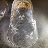 Set of 6 engraved wine glasses