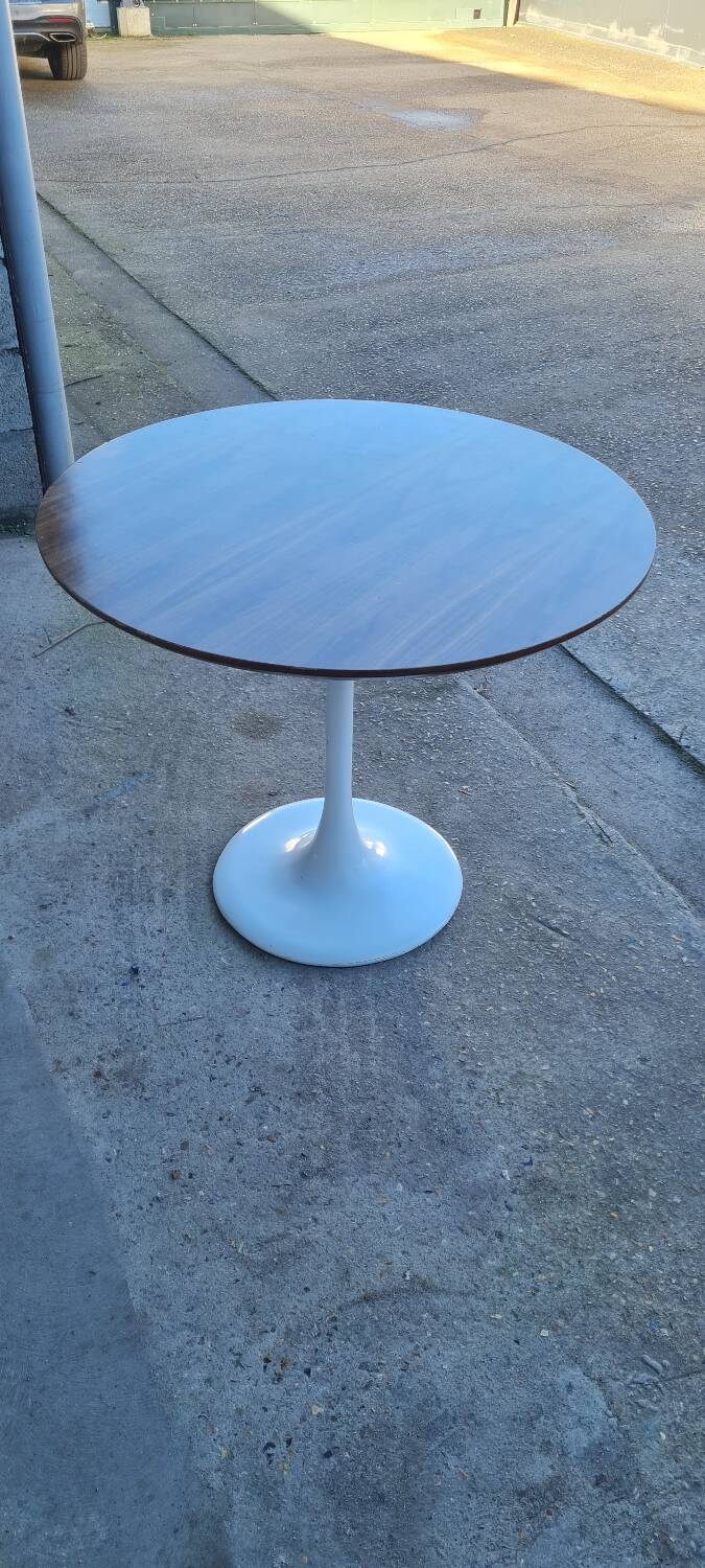 Tulip table 1980