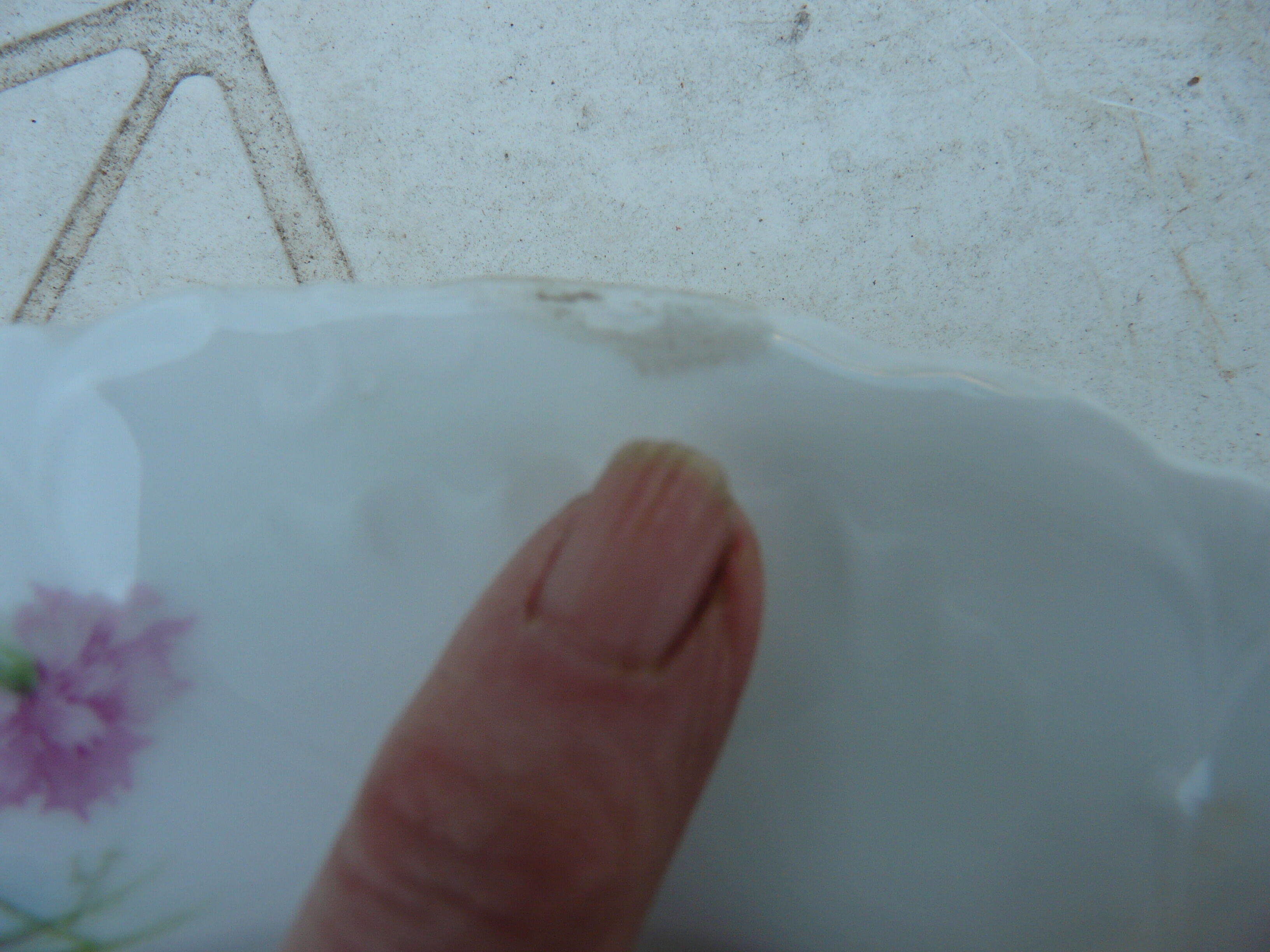 5 assiettes à dessert en porcelaine XIXème