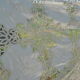 Hand embroidery tablecloth 170x260 + 12 matching towels