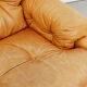 Couple Coronado Lounge Chair by Tobia & Afra Scarpa for B & B Italy