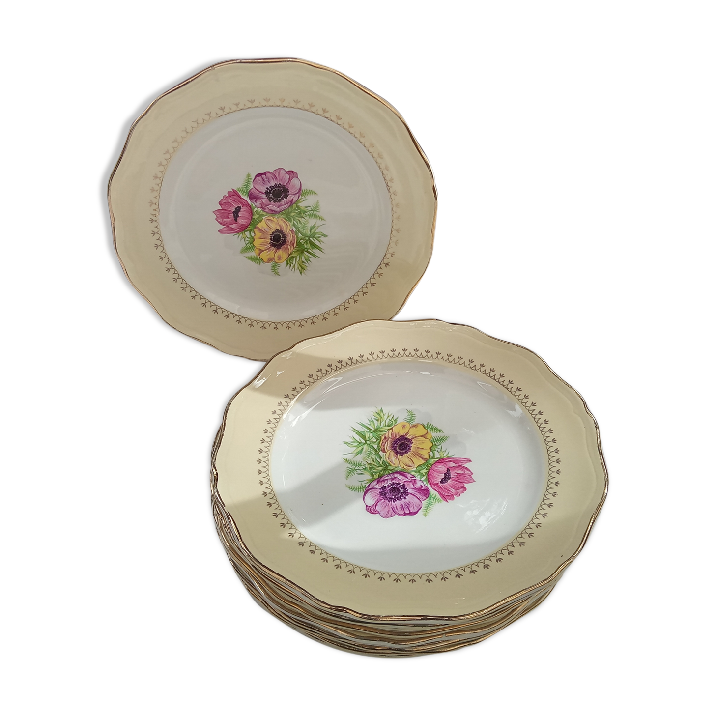 12 old flat plates Coopelia / The Almond