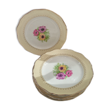 12 old flat plates Coopelia / The Almond