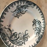 Flat plates earth of iron iris