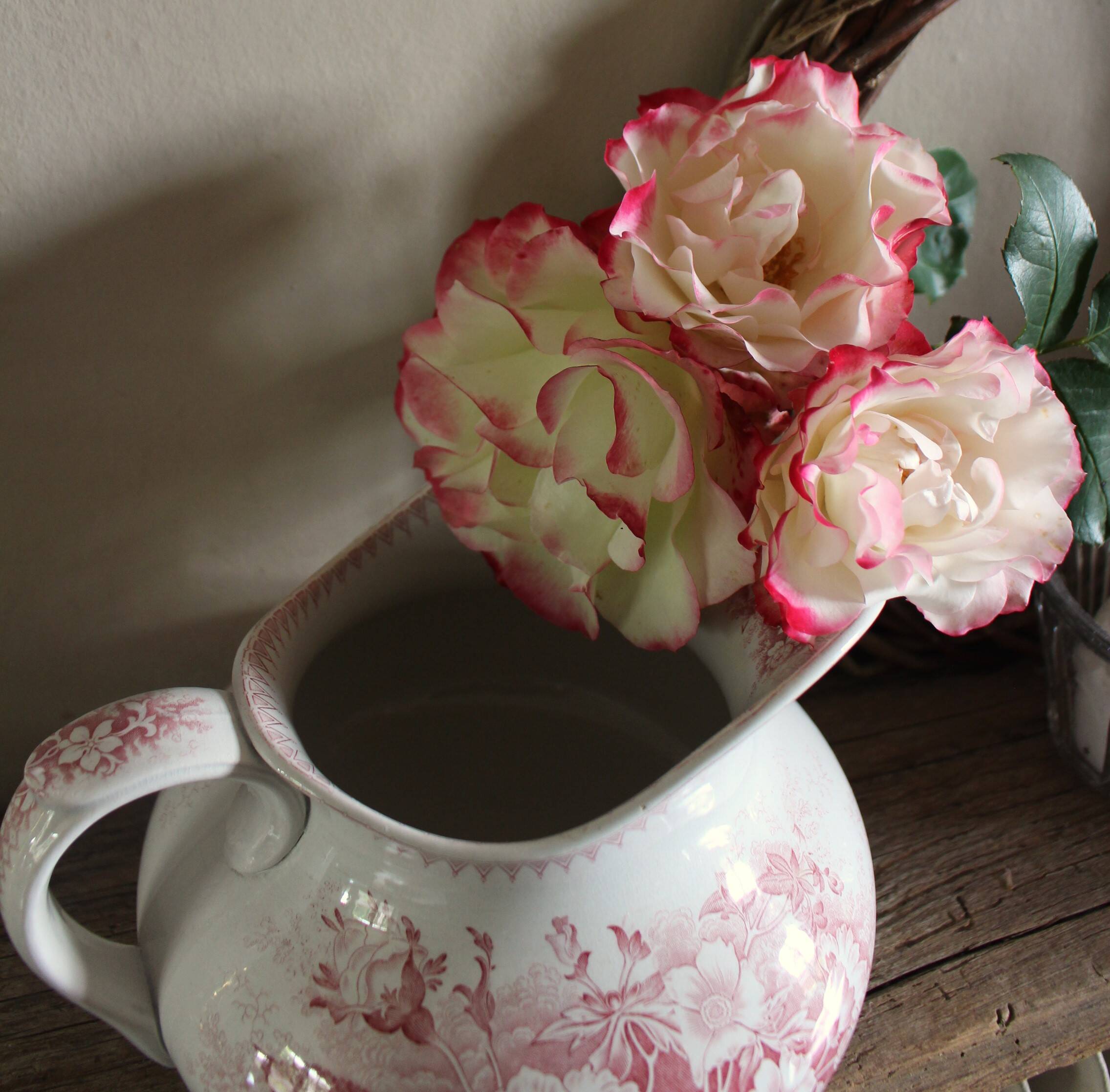 Broc fleurs roses modèle jardinière Sarreguemines