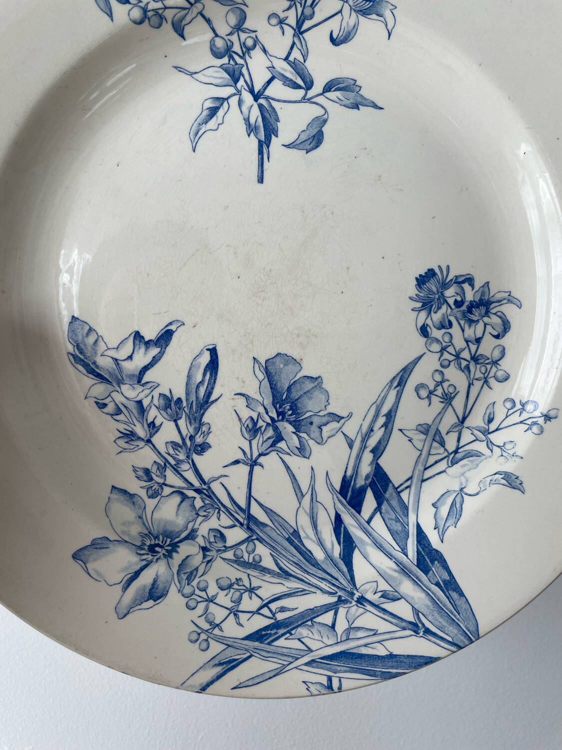 Assiette Boch Frères Keramis Pétunia