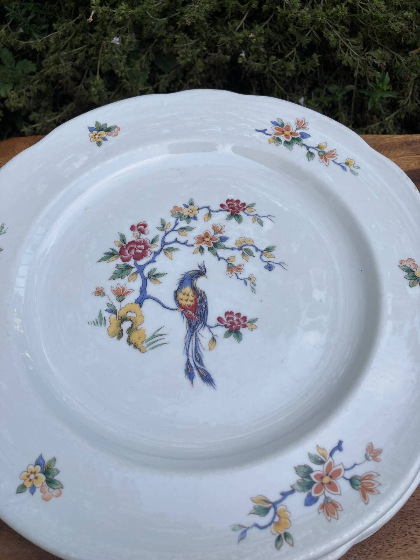 Flat plates with scalloped edges Sarreguemines bohemian chic