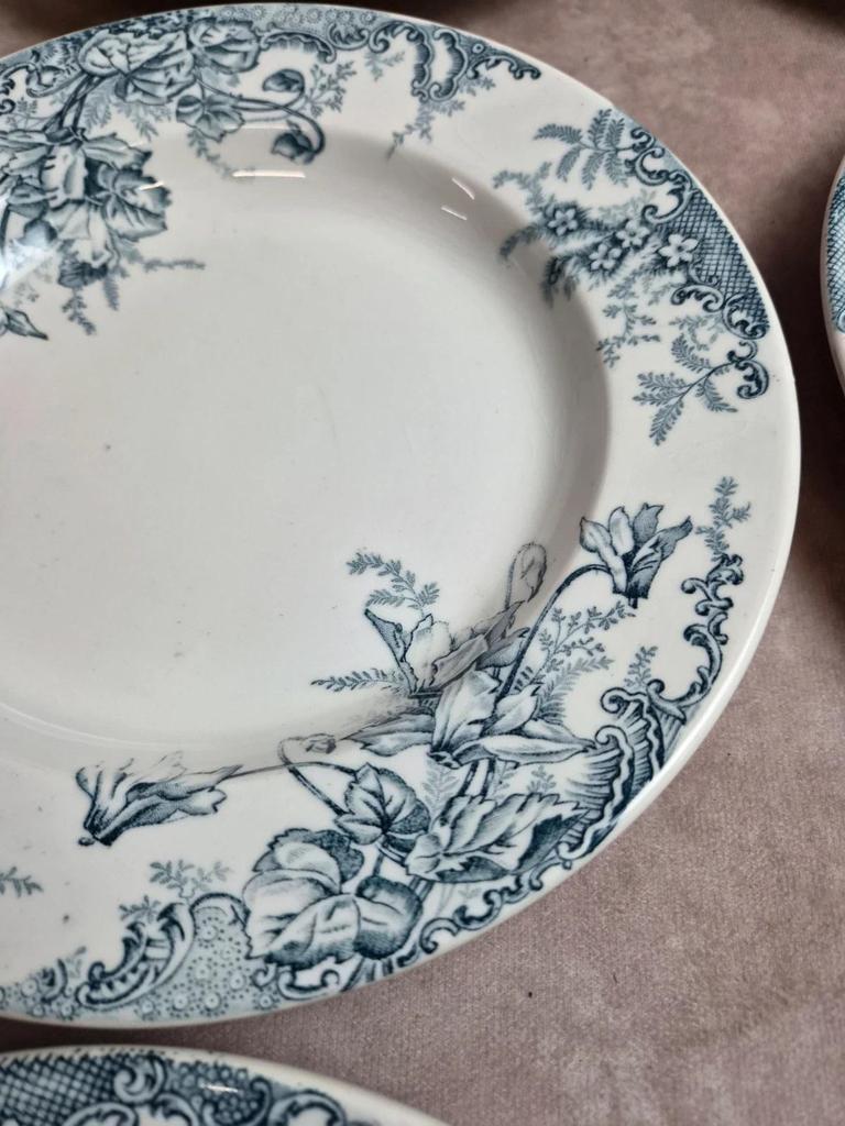 Set of 12 plates Terre de Fer Clairefontaine Cyclamens
