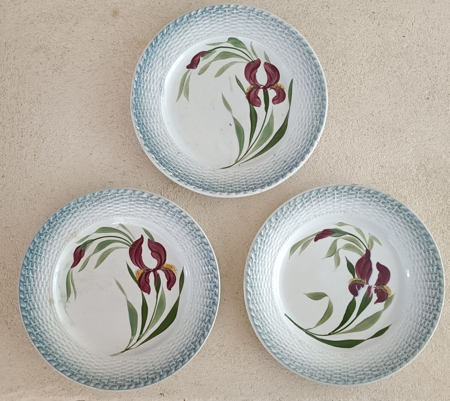 6 Saint Amand plates iris decor