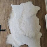 Sheep's skin