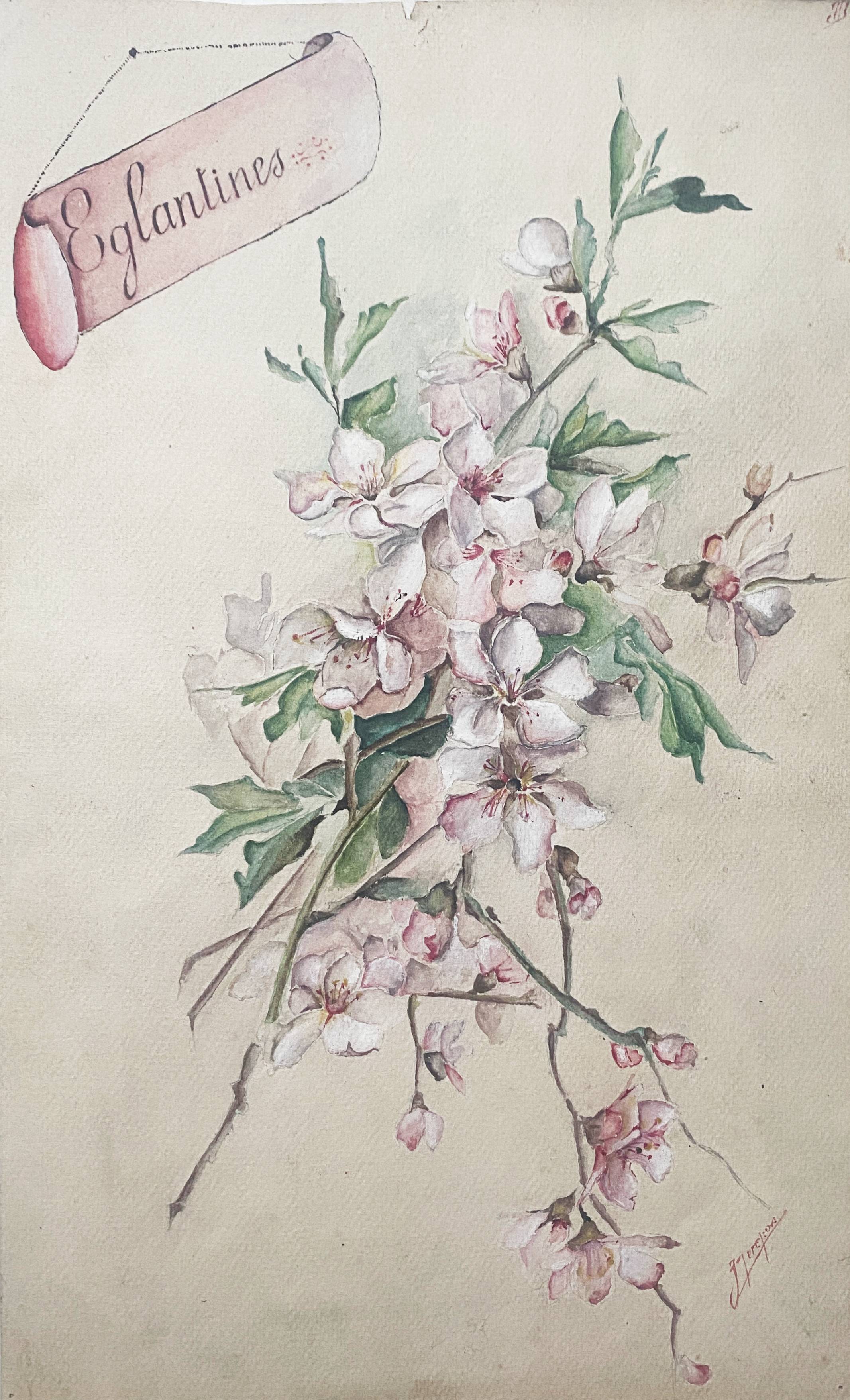 Watercolor painting "Bouquet of Eglantines" signed around 1900 on Vidalon paper