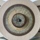 Soholm Stoneware Wall light by Noomi Backhausen & Poul Brandborg