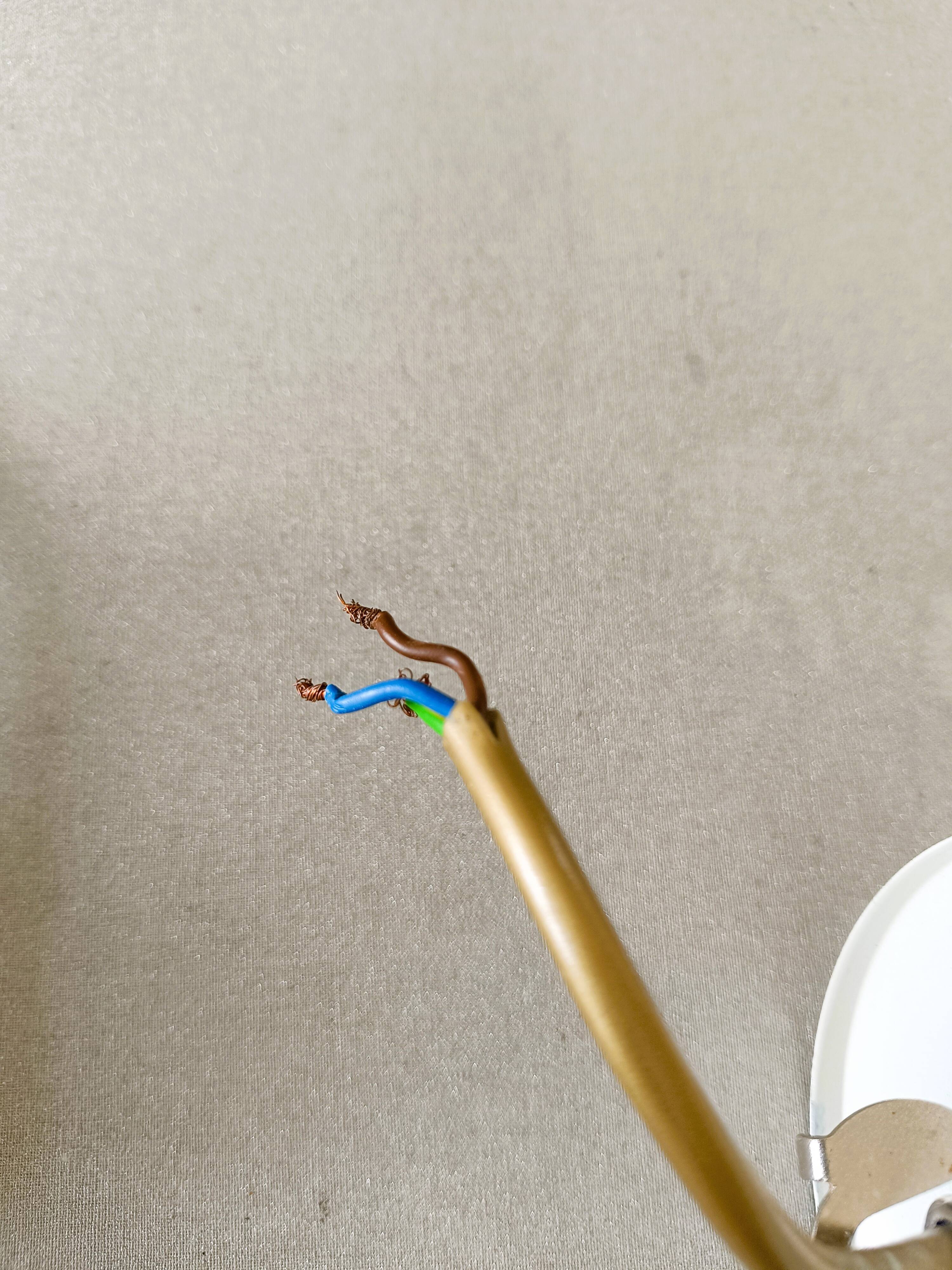 Mathias tulip chandelier