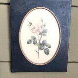 Set of three frames medallions