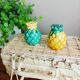 Pineapple salt and pepper shaker duo in slip