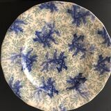 WS & Cie plate