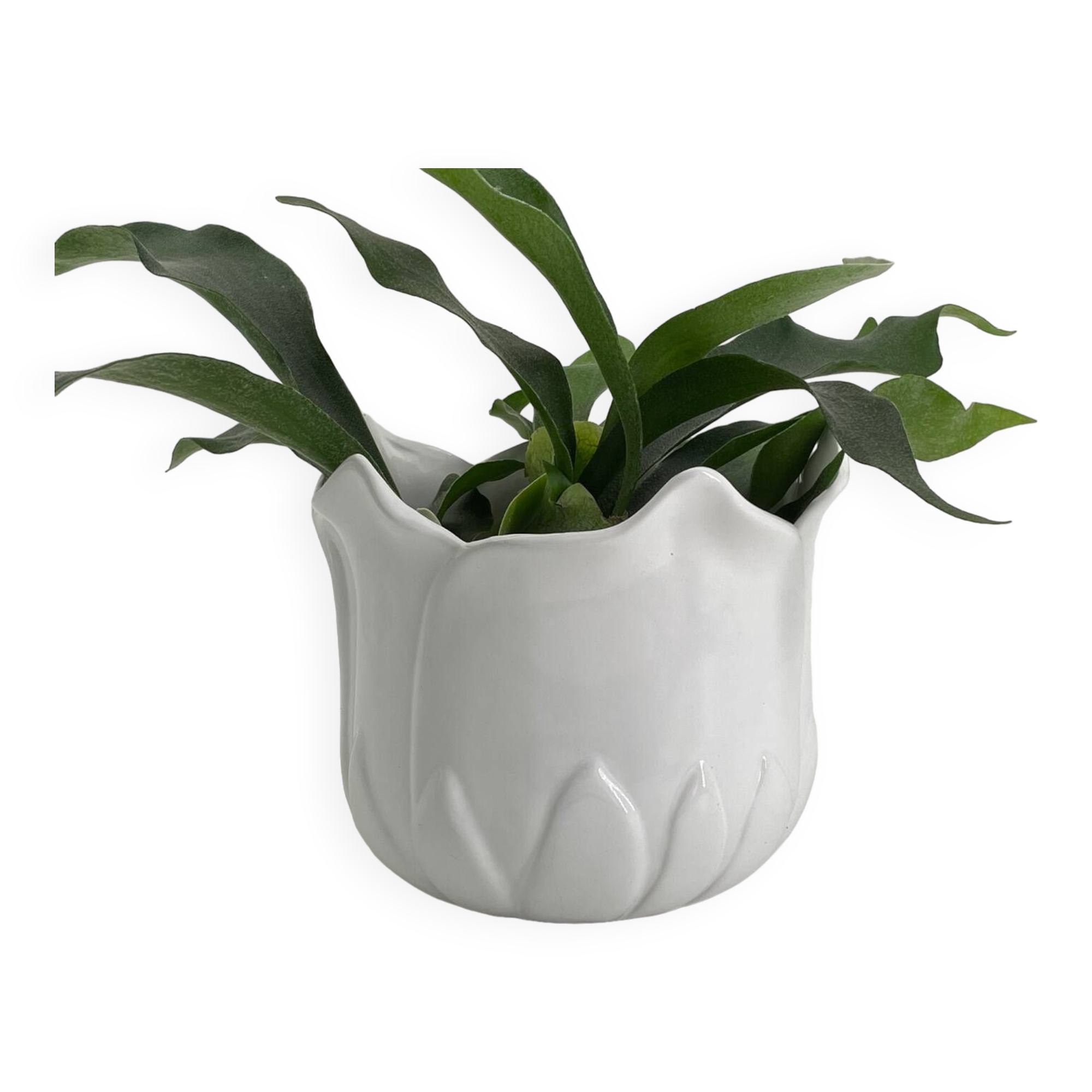 Vintage white porcelain tulip-shaped pot holder