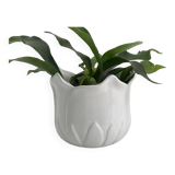 Vintage white porcelain tulip-shaped pot holder