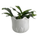 Cache pot en forme de tulipe porcelaine blanc vintage