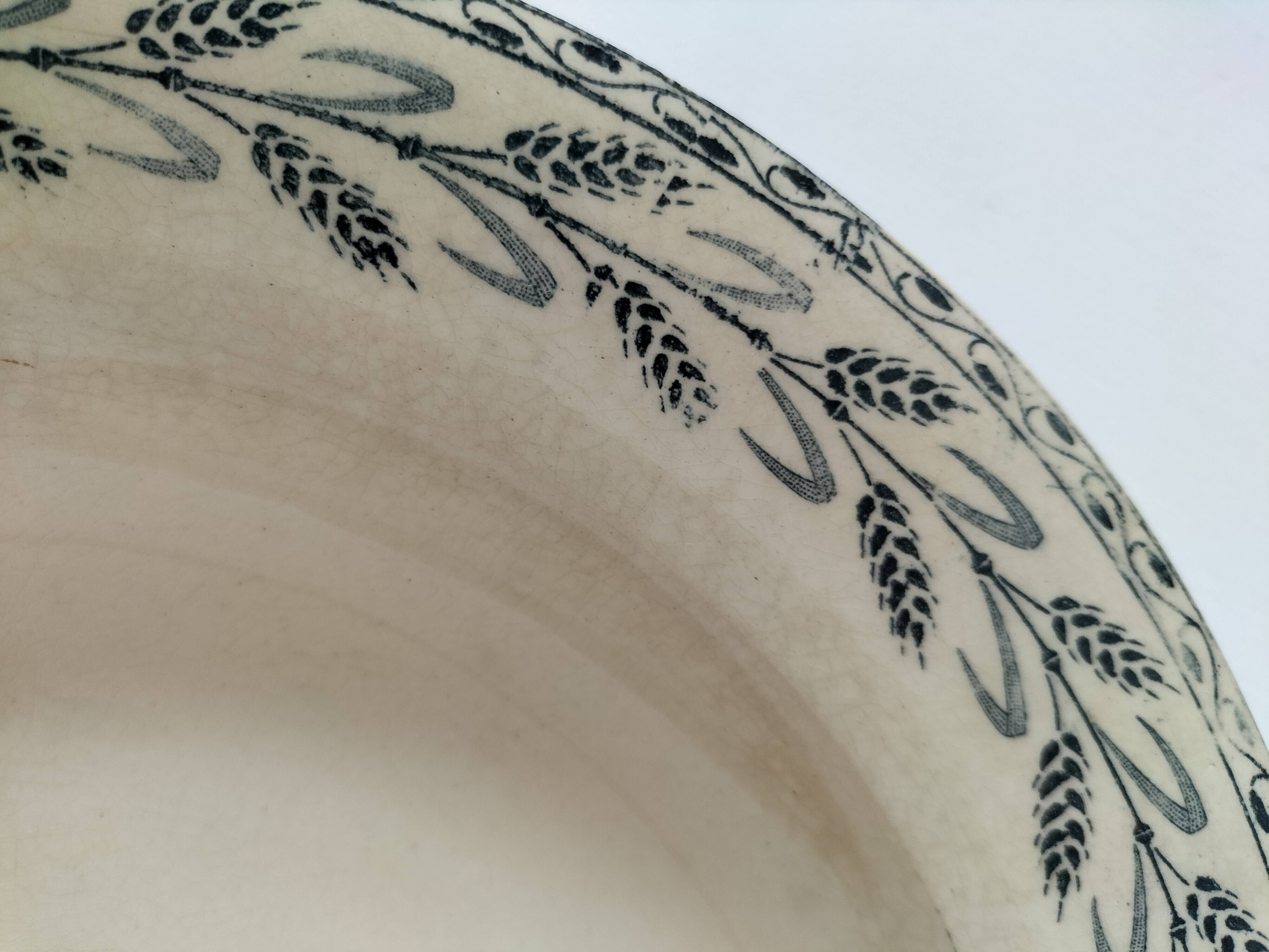 6 old E.C. Salins “Les Épis” ironstone soup plates