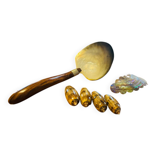 Ensemble coquillage