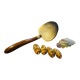 Ensemble coquillage