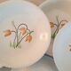 Assiettes creuses en faïence Lunéville Badonviller k & g décor tulipe vintage