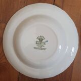 9 Mason's English soup plates