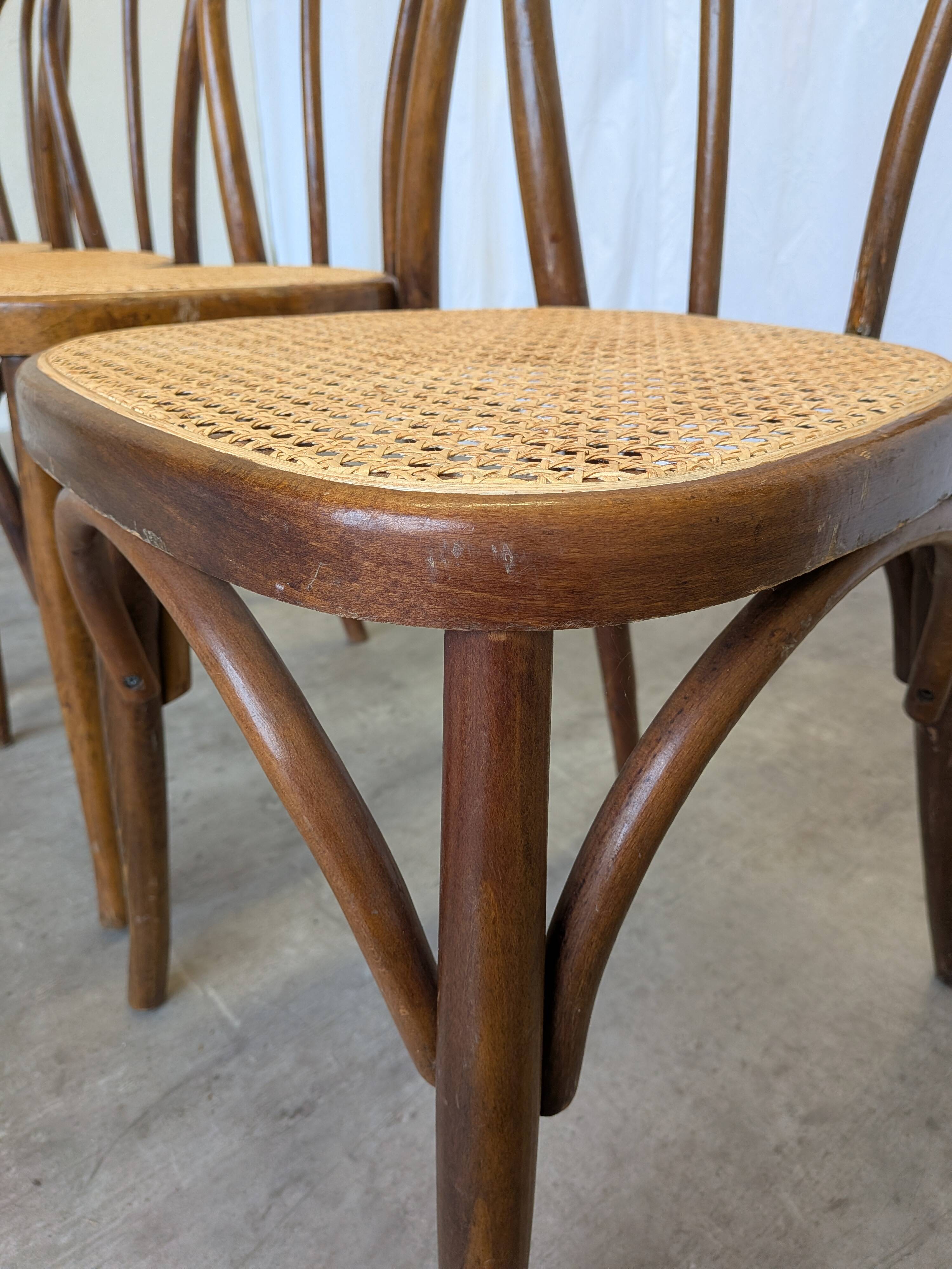 Set of 4 Vintage Thonet Style Dining Chairs: Bentwood Cane Seat, 1970s Bist