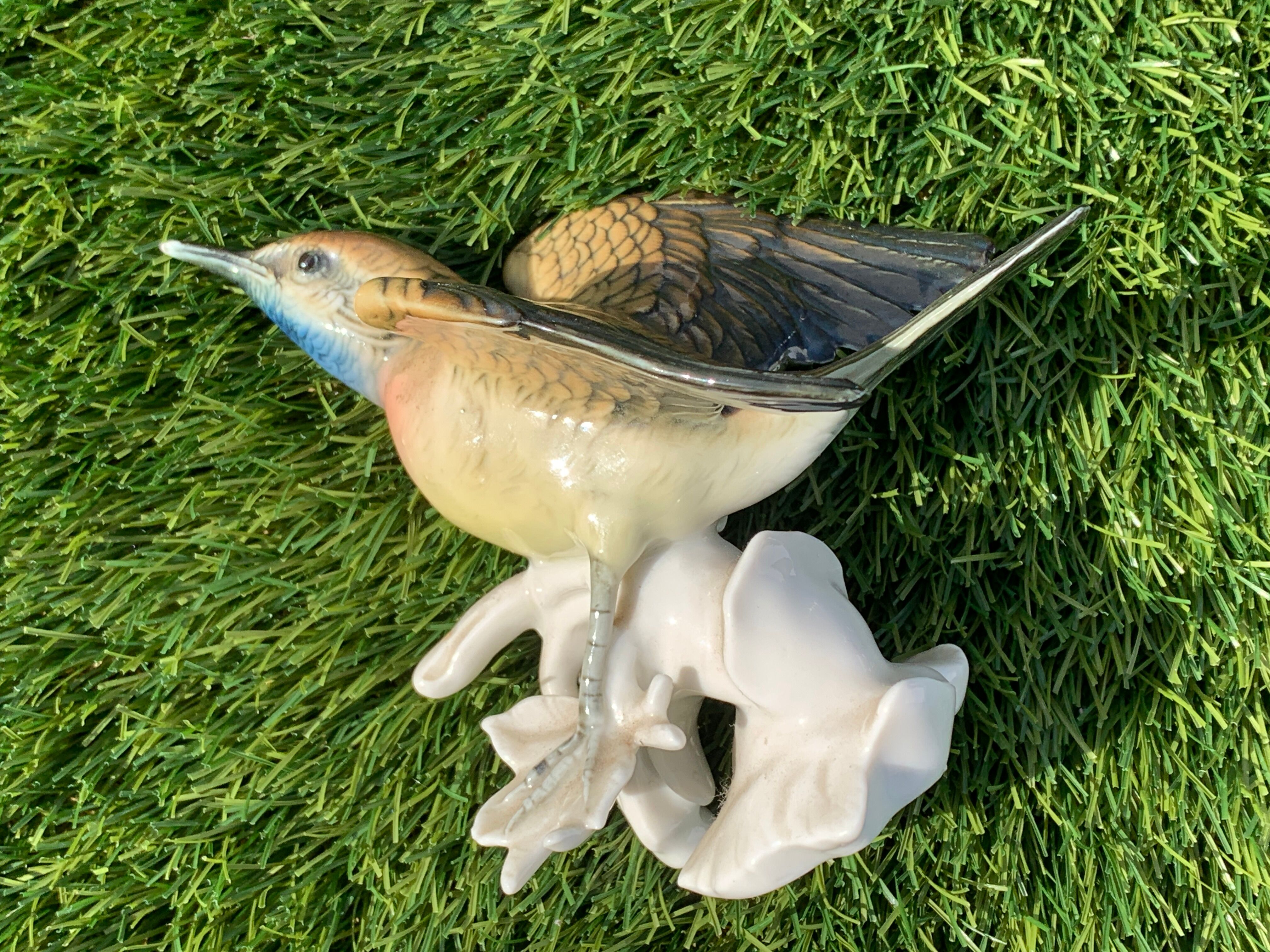 Bird numbered and signed Karl Ens, in Saxon porcelain, nineteenth century