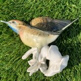 Bird numbered and signed Karl Ens, in Saxon porcelain, nineteenth century