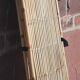 Bamboo screen
