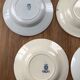 Lot 14 assiettes dépareillées Terre de Fer
