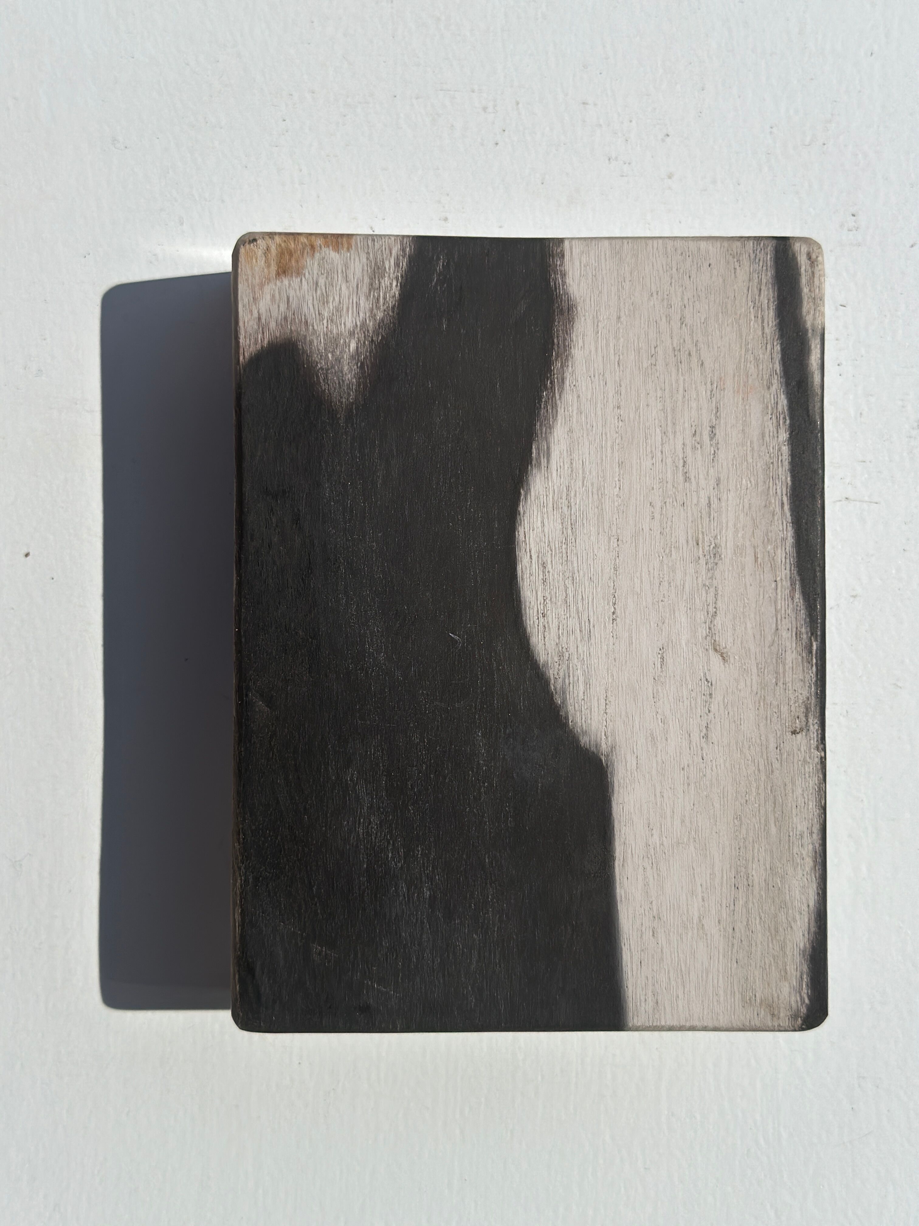 Symmetrical multicolored petrified wood soap dish