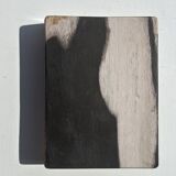 Symmetrical multicolored petrified wood soap dish