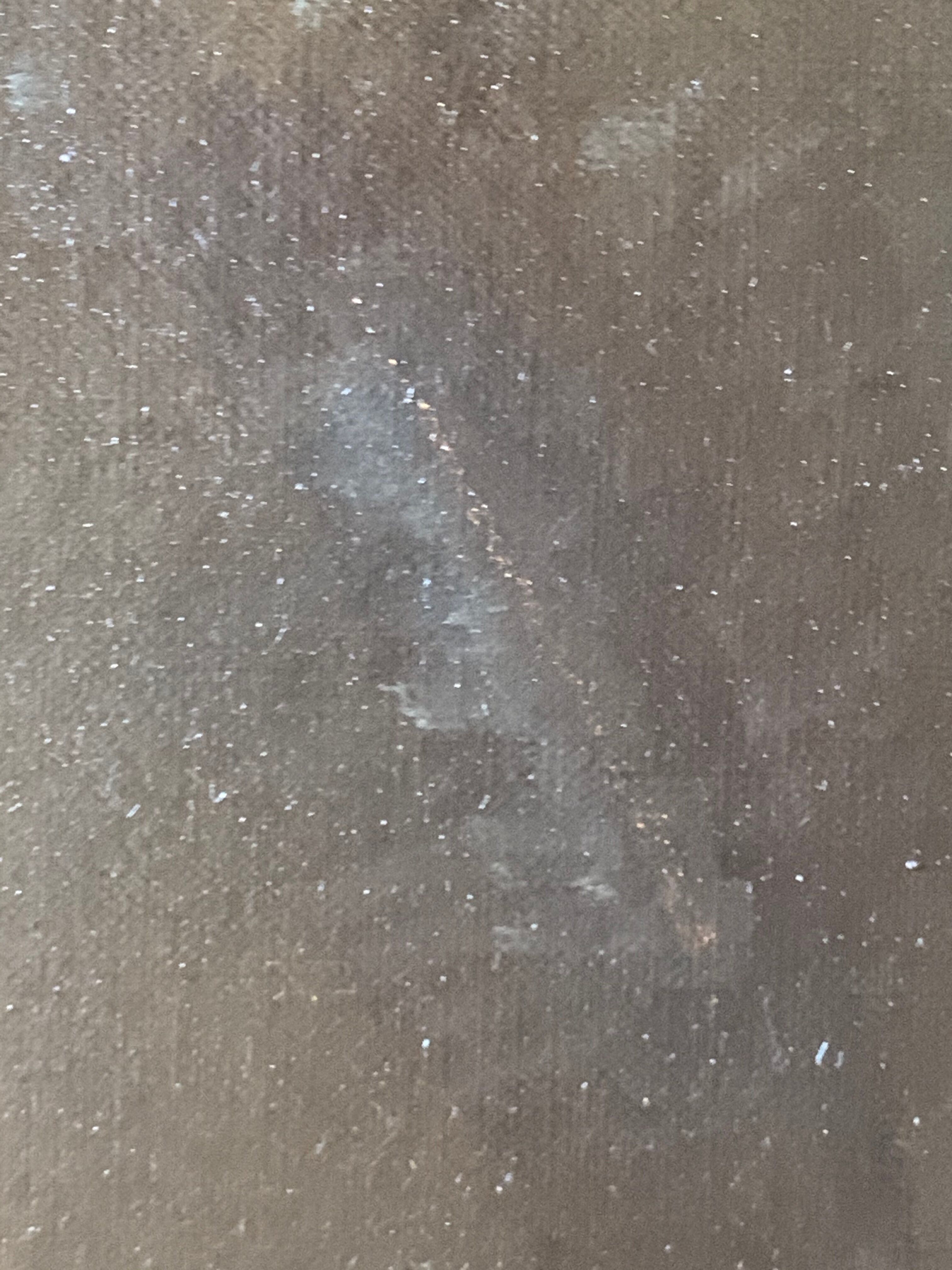 Portrait of man 19th in its frame