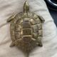 Brass turtle - opens and fits