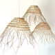 Date palm suspension