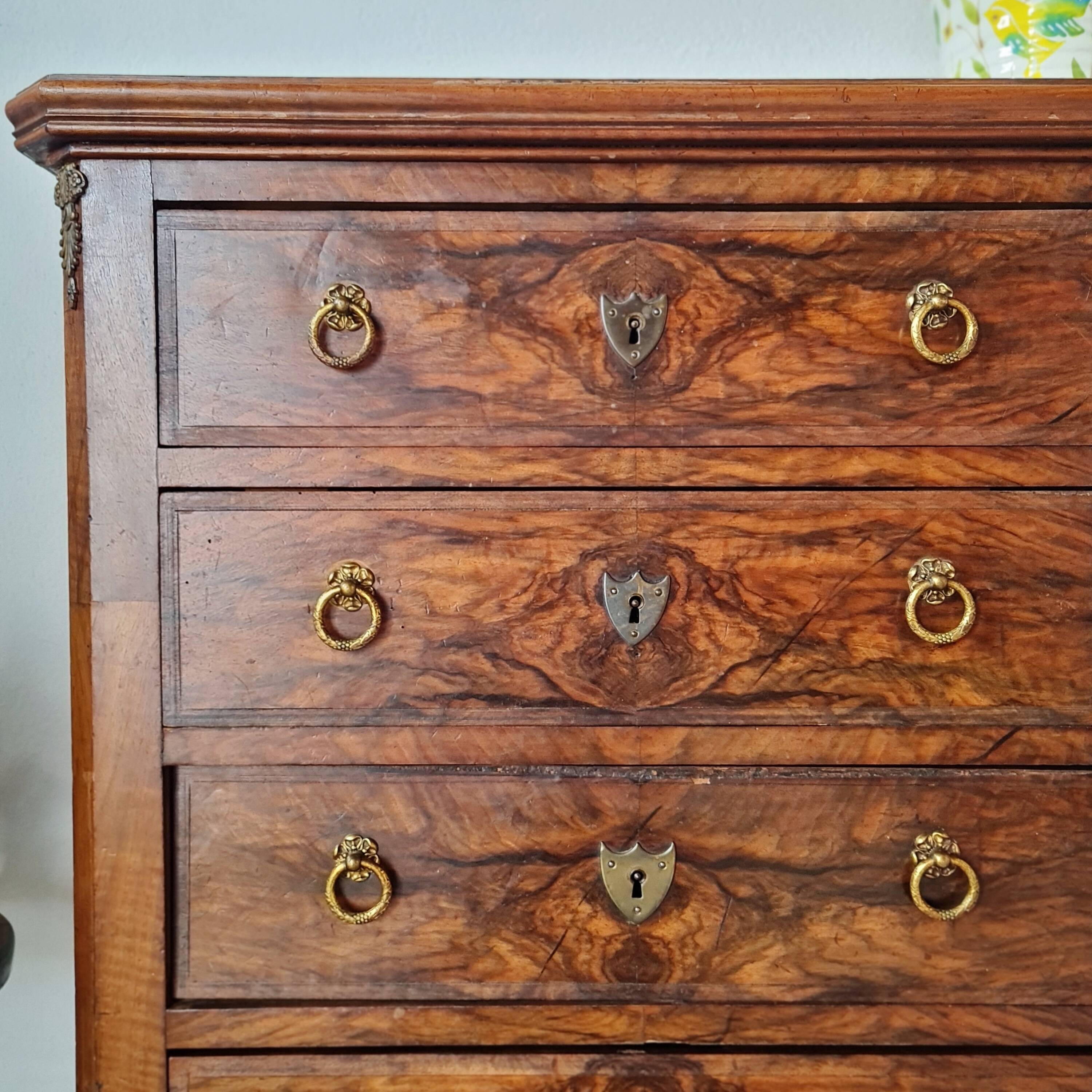 Antique Louis XV style walnut burl commode – 4 drawers