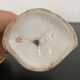 Pair of porcelain wedding vases XIXth