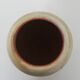 Earthen pot