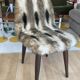 Faux fur chair with patterns & tapered dark wood legs