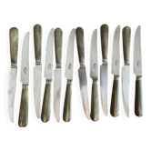 Set of 12 stainless steel knives with horn handles