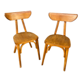 Pair of chairs bistrot banana model 1950s
