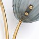 Pair of Tulips Murano Glass and Brass Sconces