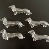 Porte couteaux teckels transparents