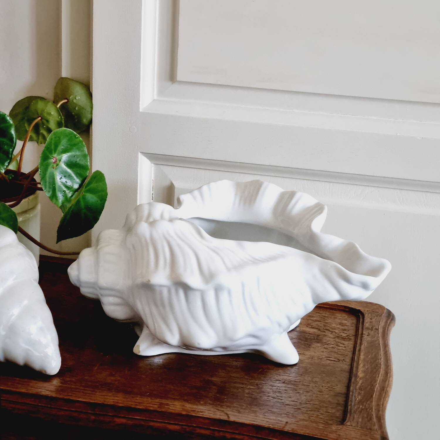 White slip shell pot cover
