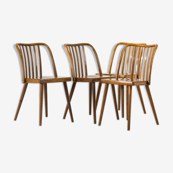 Ensemble de 4 chaises par A. Suman de TON, années 1960