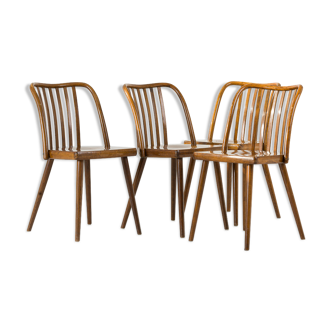 Set of 4 chairs by A. Suman from TON, 1960s