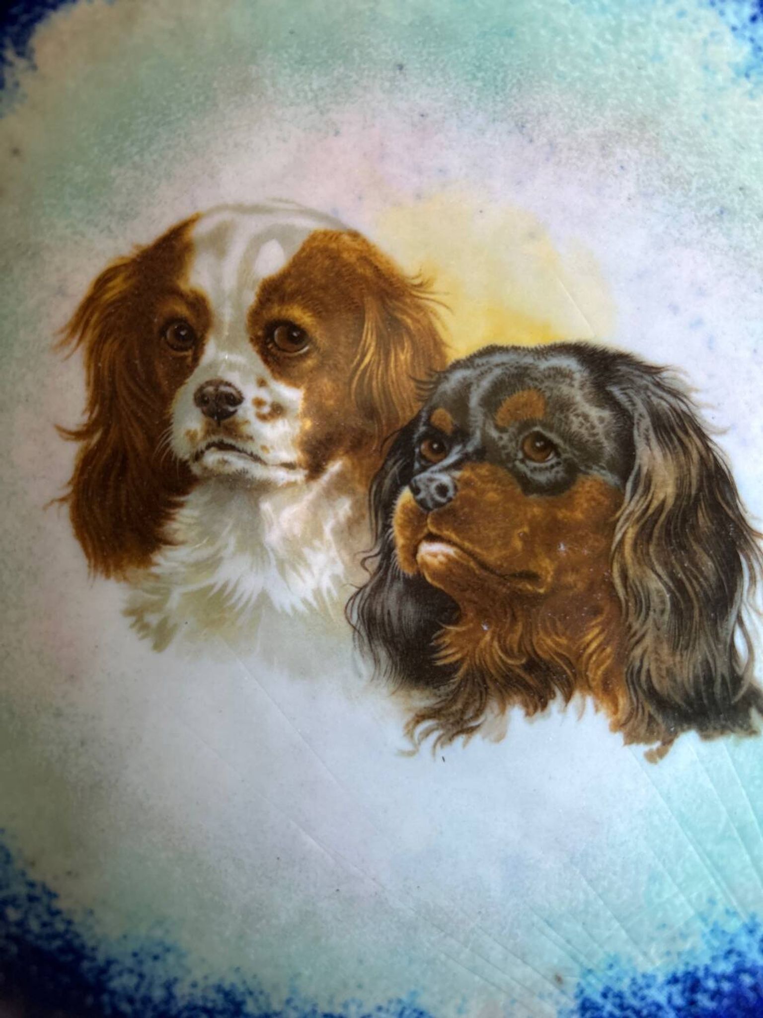 Coupelle en métal émaillée King  Charles